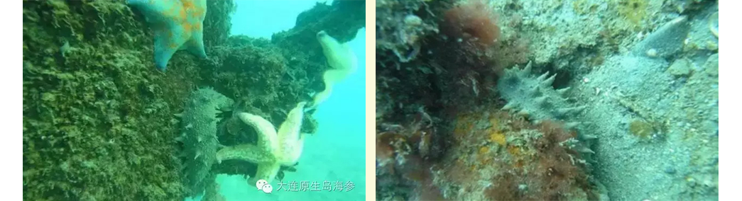 1746595353646059.png 20170601065824_30989.png