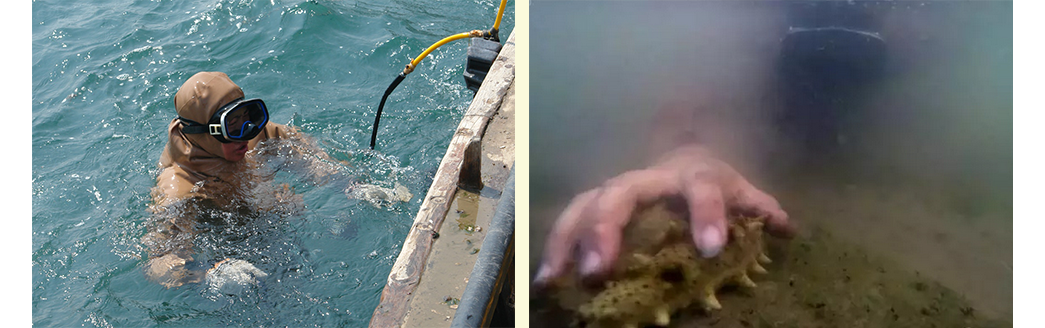 1746595365136545.png 20170601065838_80518.png