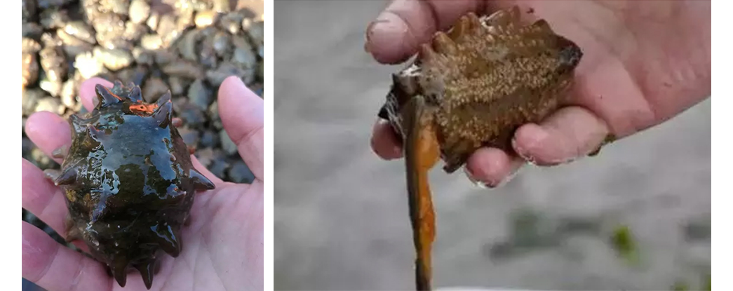 1746595407235467.png 20170601071002_77500.png